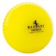 Readers Indoor Cricket ball Readers Indoor Cricket ball