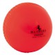 Readers Indoor Cricket ball Readers Indoor Cricket ball