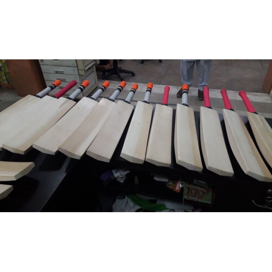 English Willow Grade A Hard Ball Bat With 5 Panel