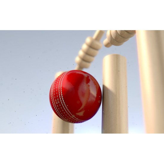 Red Cricket HardBall KS 4481 Red Cricket HardBall KS 4481