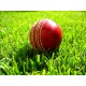 Red Cricket HardBall KS 4485 Red Cricket HardBall KS 4485