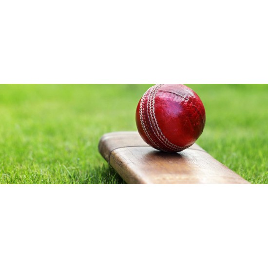 Red Cricket HardBall KS 4485 Red Cricket HardBall KS 4485