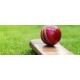 Red Cricket HardBall KS 4485 Red Cricket HardBall KS 4485