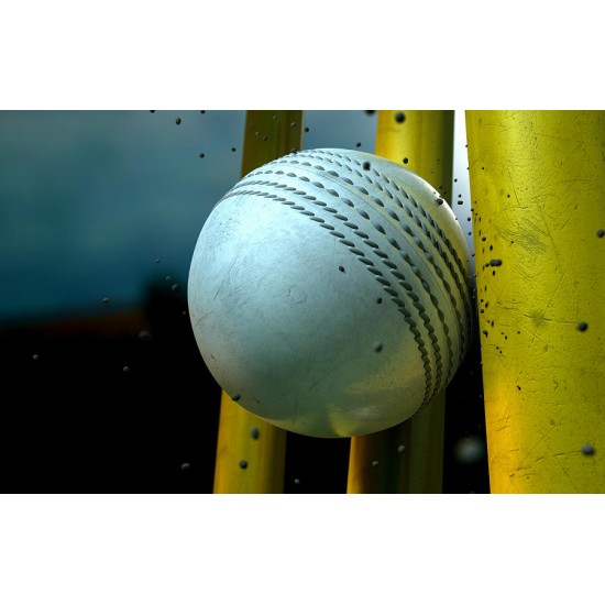 White Cricket HardBall White Cricket HardBall