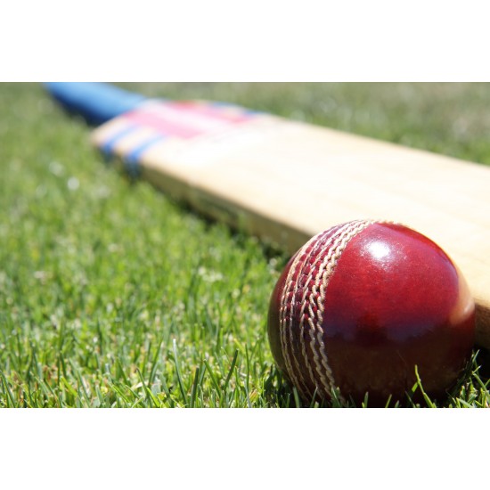 Red Cricket HardBall KS 4489 Red Cricket HardBall KS 4489