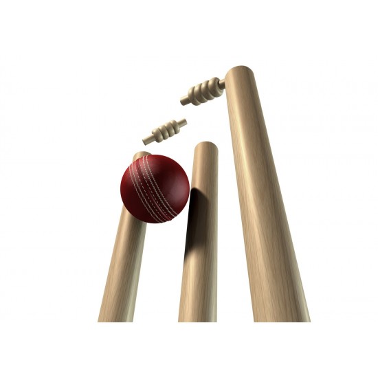 Red Cricket HardBall KS 4490 Red Cricket HardBall KS 4490