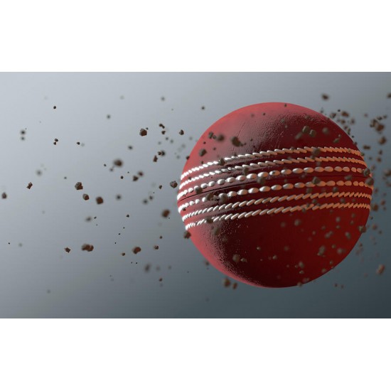 RED Cricket HardBall KS 4491 RED Cricket HardBall KS 4491