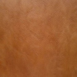 Olive Brown