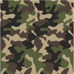 Camouflage